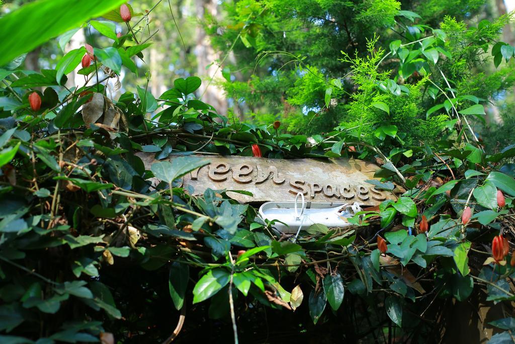 Greenspaces B&B Munnar Exterior foto