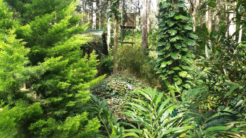 Greenspaces B&B Munnar Exterior foto