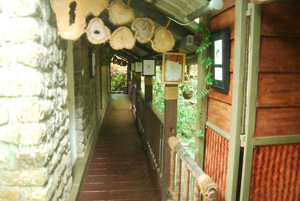 Greenspaces B&B Munnar Exterior foto