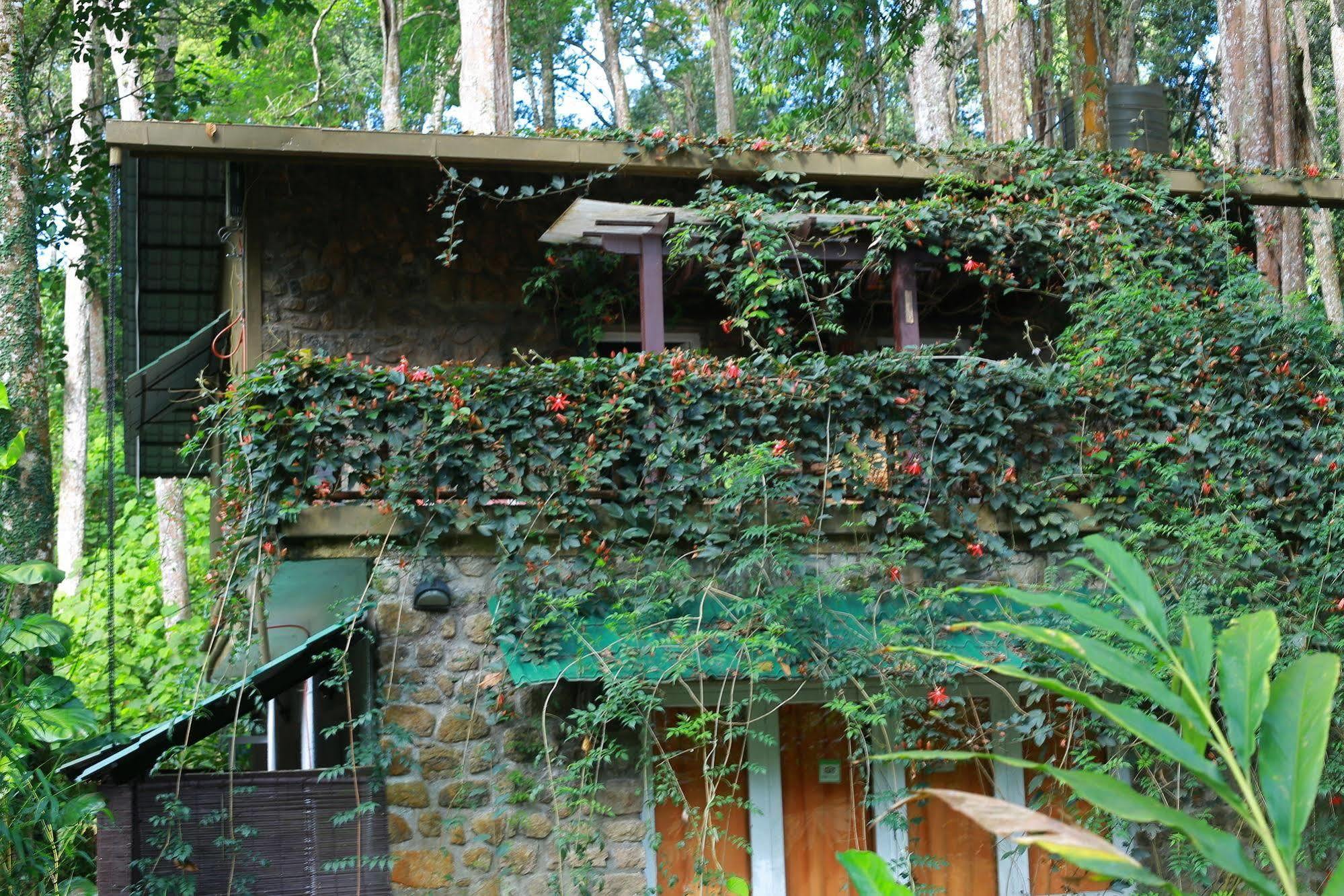 Greenspaces B&B Munnar Exterior foto